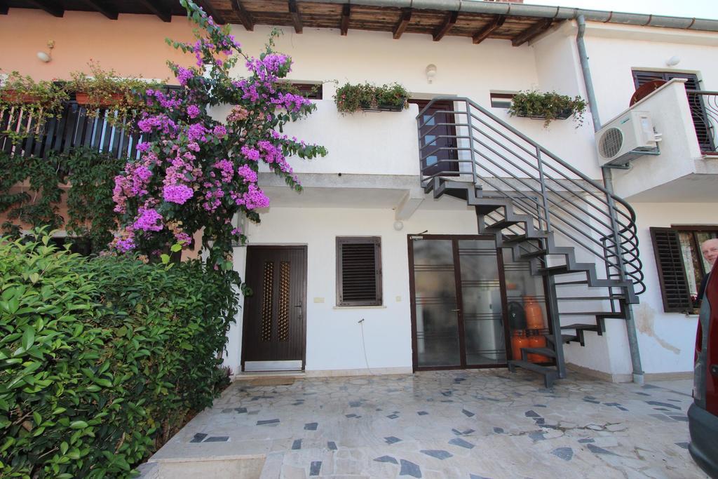 רוביני Apartment Albert מראה חיצוני תמונה